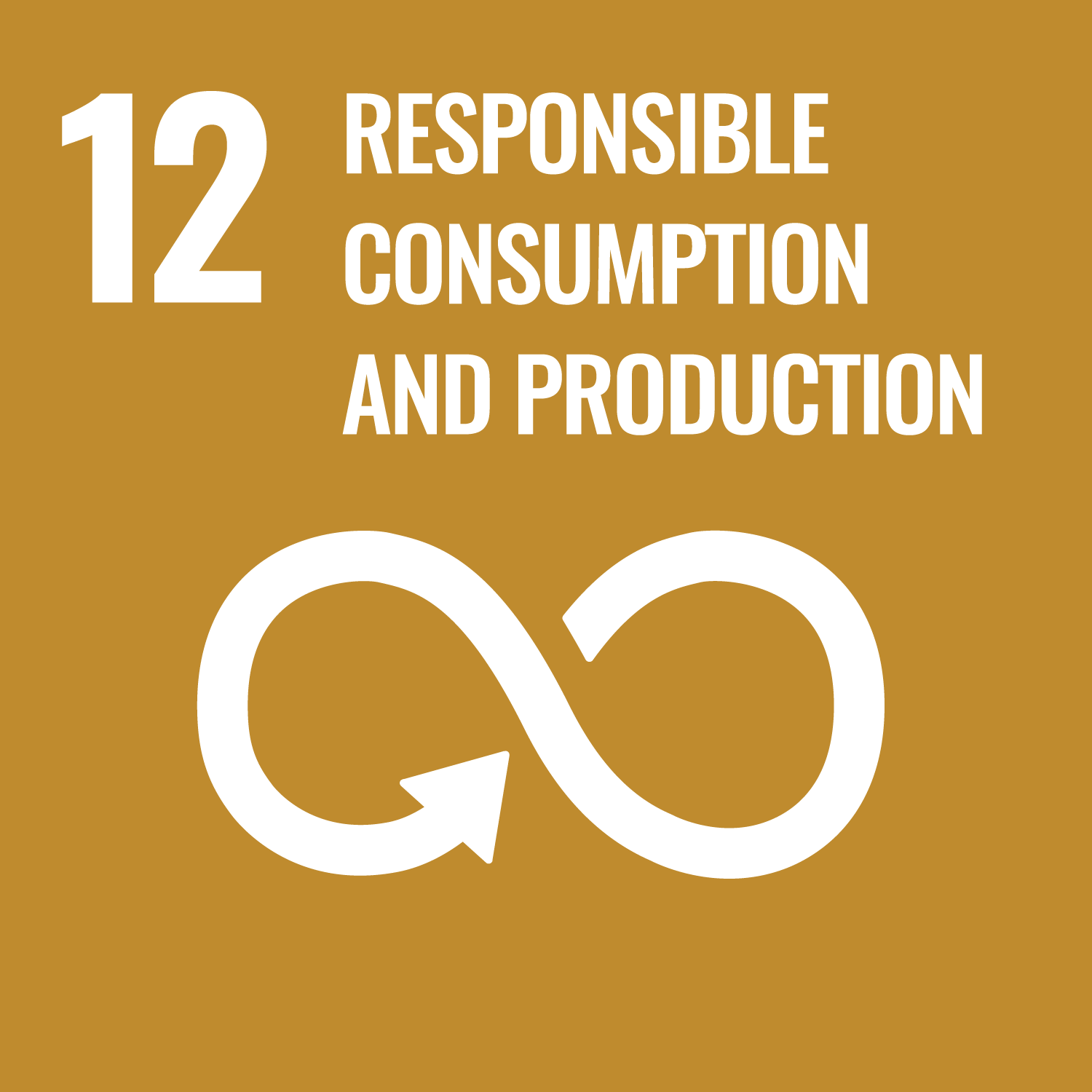 Icon: 12 Responsible consumption and production